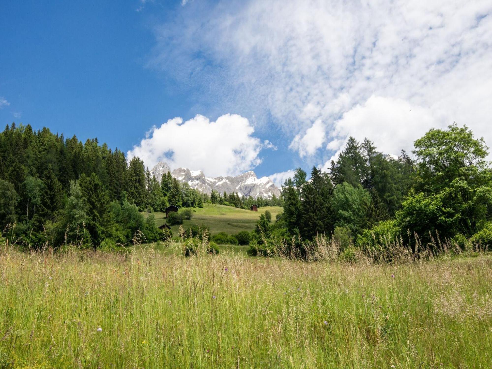 Mountain View Apartment In Strengen Near Ski Bus Dış mekan fotoğraf